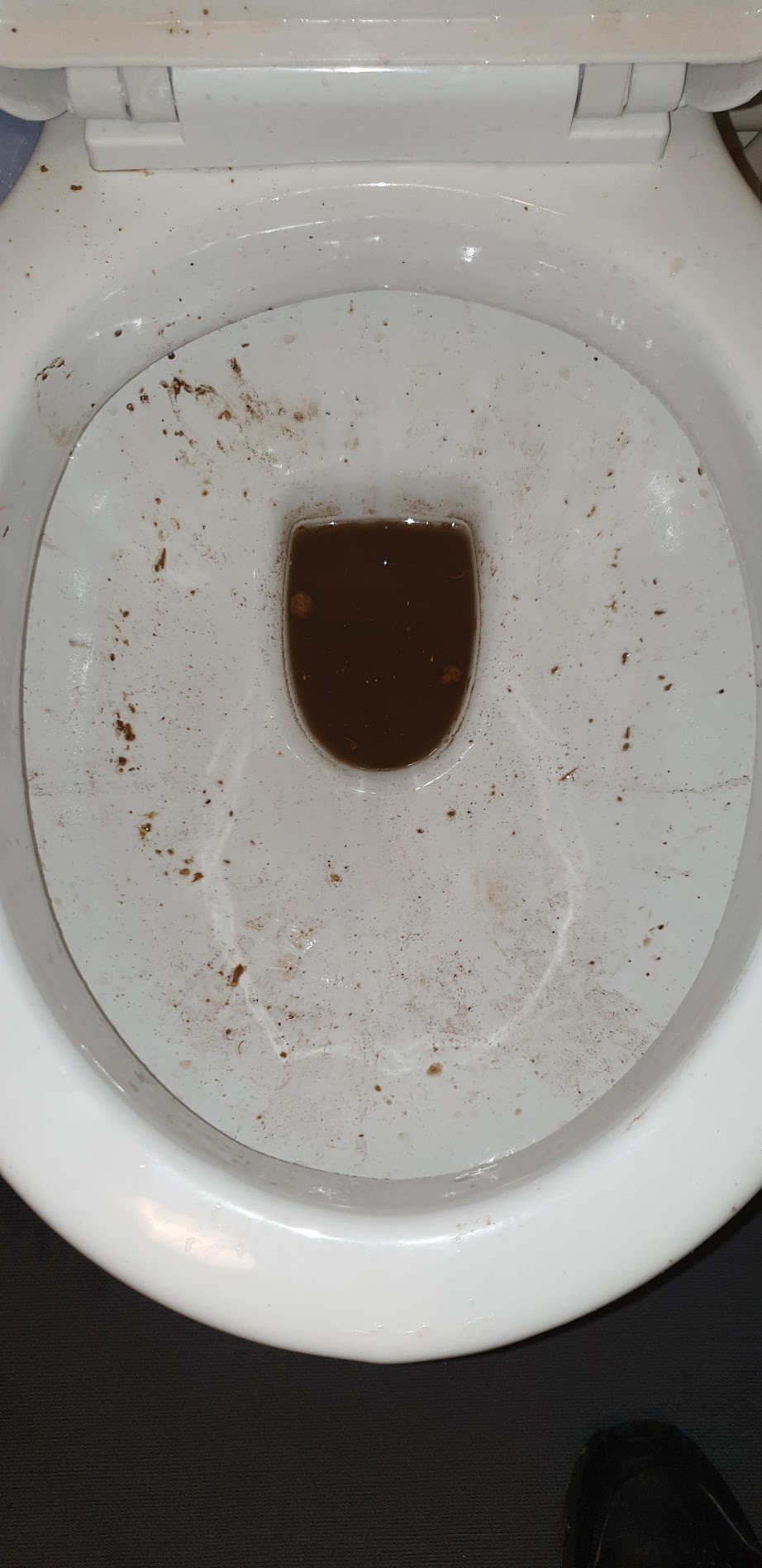 Toilet2